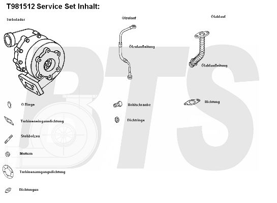 BTS TURBO Компрессор, наддув T981512BL